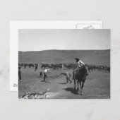 カウボーイズブランディング ポストカード (正面/裏面)