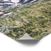 カウボーイズ・アット・ランチ、1904年（写真） ポスター (角)