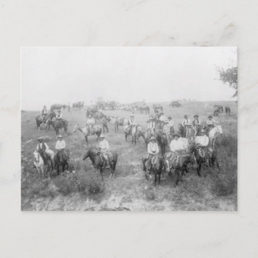 カウボーイズ・オン・バシーハガキ ポストカード (正面)