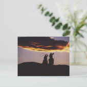 カウボーイチームとラソーズ ポストカード (スタンド正面)