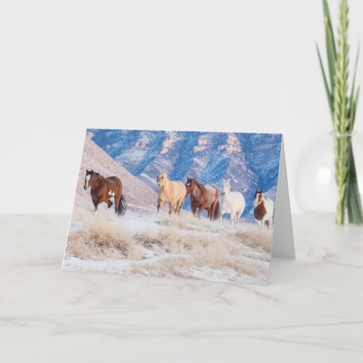 カウボーイホースドライブオンハイドアウトランチ カード (正面)