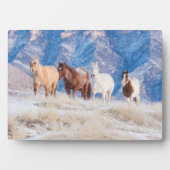 カウボーイホースドライブオンハイドアウトランチ フォトプラーク (正面)