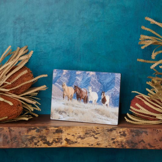 カウボーイホースドライブオンハイドアウトランチ フォトプラーク (側面)