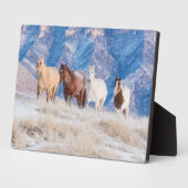 カウボーイホースドライブオンハイドアウトランチ フォトプラーク (側面)