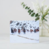 カウボーイホースドライブ | Hideout Ranch Shell, Wyoming ポストカード (スタンド正面)