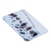 カウボーイホースドライブ | Hideout Ranch Shell, Wyoming マグネット (右側)