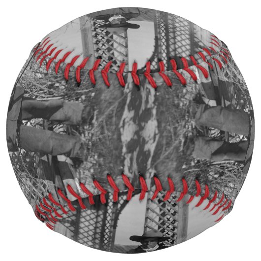 カウボーイランチャーまたは旧西のカナダの法律 ソフトボール (正面)