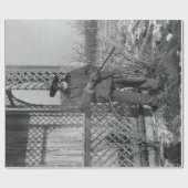 カウボーイランチャーまたは旧西のカナダの法律 ラッピングペーパー (フラット)