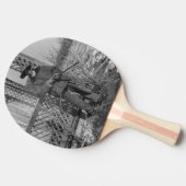 カウボーイランチャーまたは旧西のカナダの法律 卓球ラケット (横)