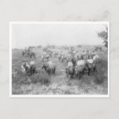 カウボーイ山 ポストカード (正面)