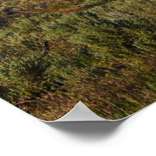 カウボーイ賛美ズ ポスター (角)