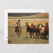 カウボーイ・ハーディング・アット・ザ・ランチ ポストカード (正面/裏面)