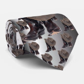 カウボーイ・ブーツおよび帽子 ネクタイ (ロール)