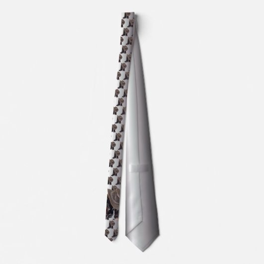 カウボーイ・ブーツおよび帽子 ネクタイ (裏面)