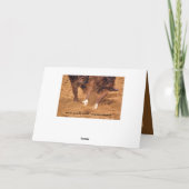 カウボーイ&ホース誕生日カード カード (裏面)