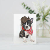 カウボーイ・ボストン ポストカード (スタンド正面)