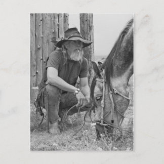 カウボーイ ポストカード