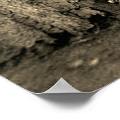 カウボーズカルガリーアルバータサーカ1883 ポスター (角)