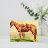 カウポニー ポストカード (スタンド正面)