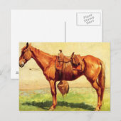 カウポニー ポストカード (正面/裏面)