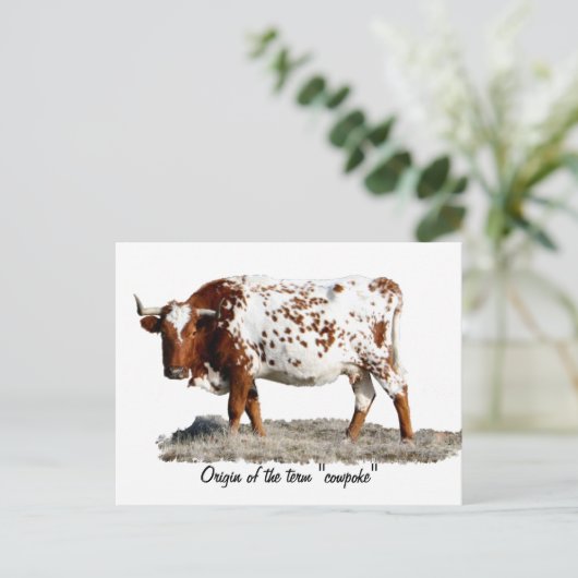 カウポーク ポストカード (スタンド正面)