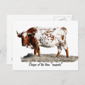 カウポーク ポストカード (正面/裏面)