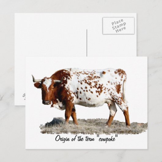 カウポーク ポストカード (正面/裏面)