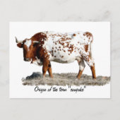 カウポーク ポストカード (正面)