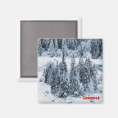 カウマシー マグネット (正面/裏面)