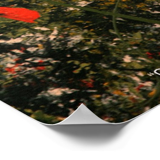 カウリー ポスター (角)