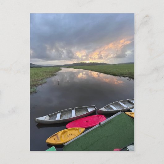 カウルーラマーシュランド自然保護区 – ガイアナフランスのナ ポストカード (正面)