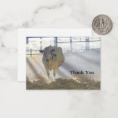 カウ・イン・フォグ・サンキューカード ノートカード (正面/裏面インサイチュ)