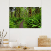 カエデのグレードトレイル、シダやコケが覆われた ポスター (キッチン)