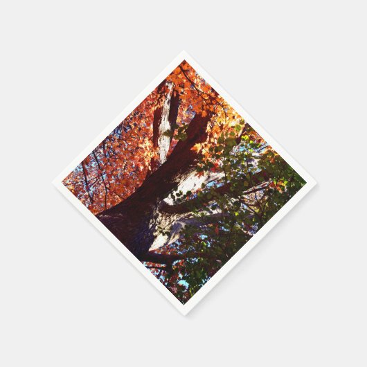 カエデの木の森葉の秋の植物 スタンダードカクテルナプキン (角)