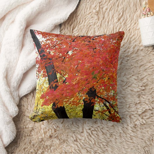 カエデの木の秋 クッション (ブランケット)