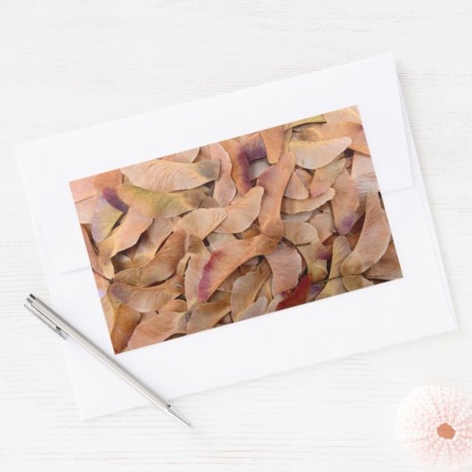 カエデの木の種子テクスチャパターンの背景自然 長方形シール (封筒)