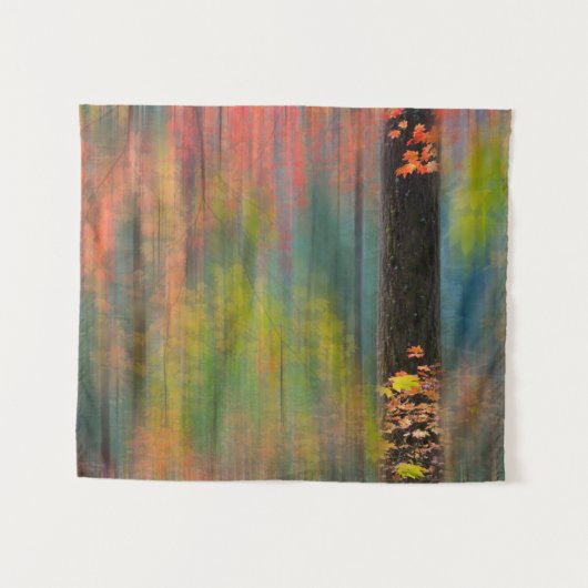 カエデの木 |シルバー秋州パーク タペストリー (正面(横))