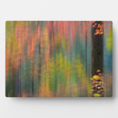 カエデの木 |シルバー秋州パーク フォトプラーク (正面)