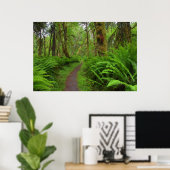 カエデの林の小道、シダと苔に覆われた ポスター (ホームオフィス)