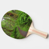 カエデの林の小道、シダと苔に覆われた 卓球ラケット (横)