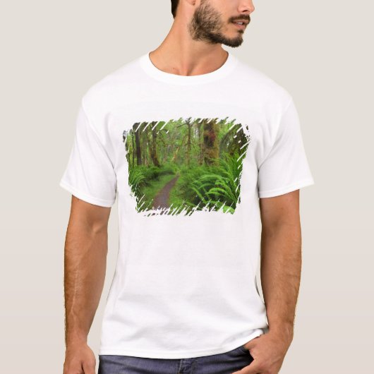 カエデの林の小道、シダと苔に覆われた Tシャツ (正面)