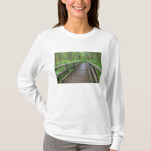カエデの林道の木の橋、シダと Tシャツ (正面)
