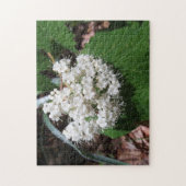 カエデの葉のガマズミ属 ジグソーパズル (縦)