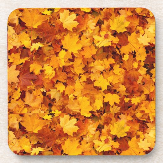 カエデの葉のパターン コースター (正面)