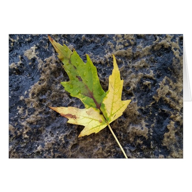 カエデの葉、含まれている白い封筒 (正面横)