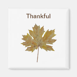 カエデの葉、茶色、金ゴールド マグネット