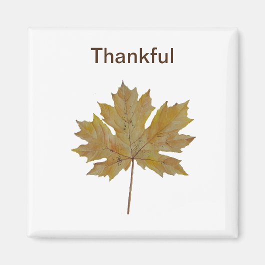 カエデの葉、茶色、金ゴールド マグネット (正面)