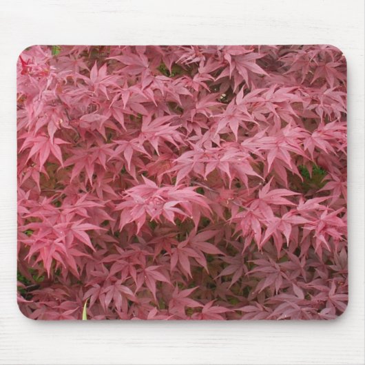 カエデのpalmatumの葉 マウスパッド (正面)