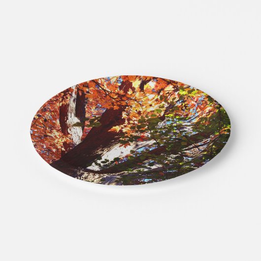 カエデ威厳のあるリ – 秋の木々の最初の眺め ペーパープレート (アングル)