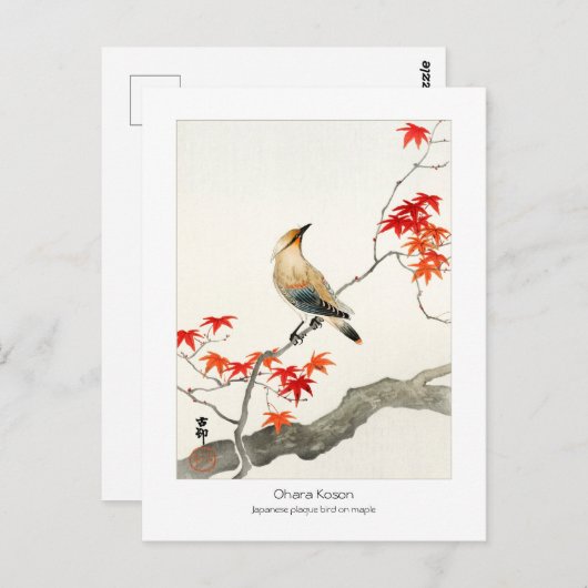カエデ日本のの疫病の鳥 – 大原小村 –  ポストカード (正面/裏面)